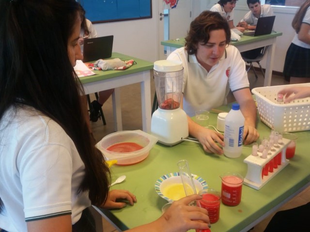1.Group4