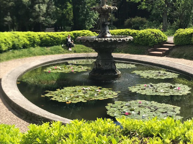 1.botanico