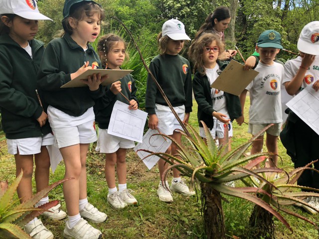 13.botanico