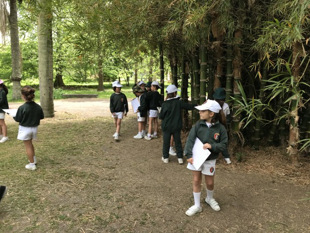 23.botanico