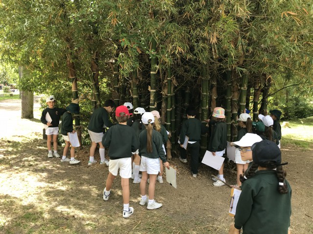 24.botanico