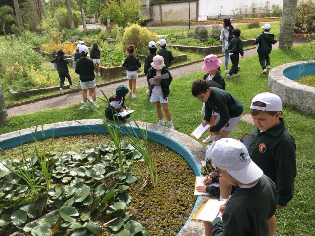 3.botanico