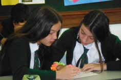 IBO - PYP Authorisation Process