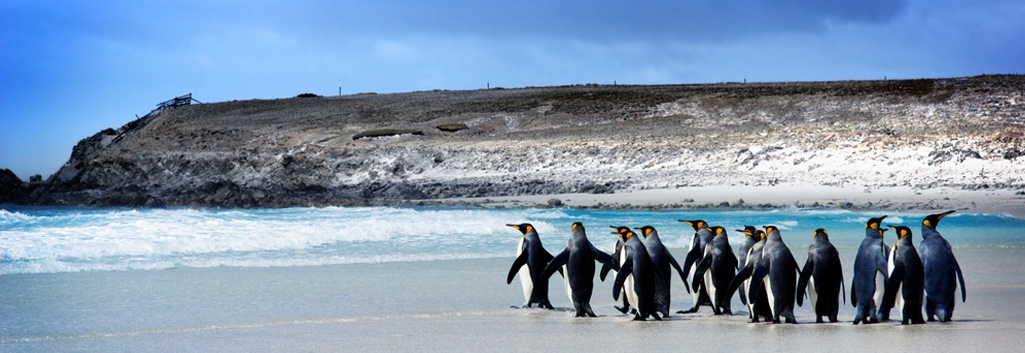 Falkland Islands