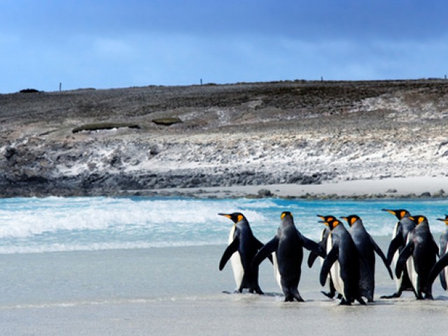Falkland Islands