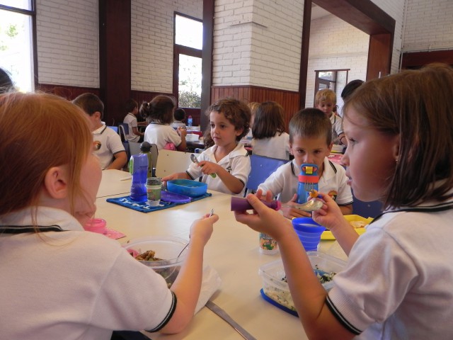 Nutrition Workshop