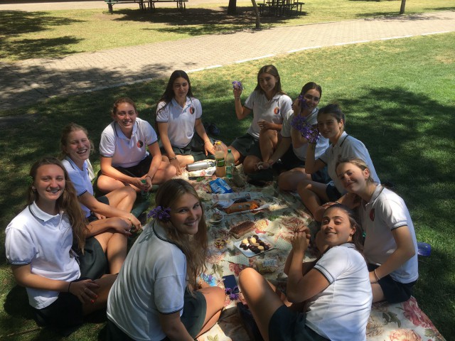 4YL - CONCURSO DE PICNIC