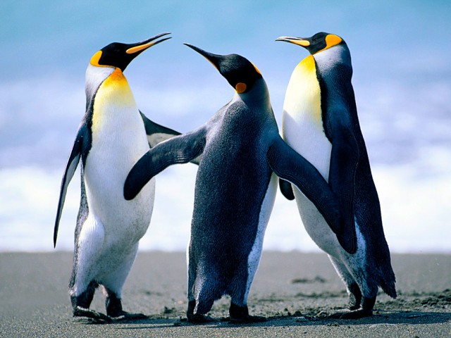 first lesson, post a news on school web