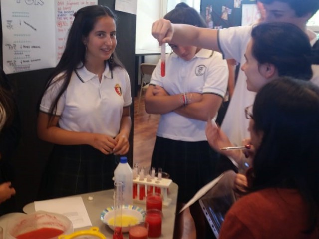 6.Group4