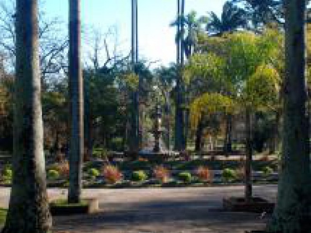 Form 1 visited "Museo y Jardín Botánico"