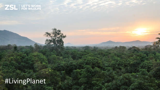 Living Planet Report 2016