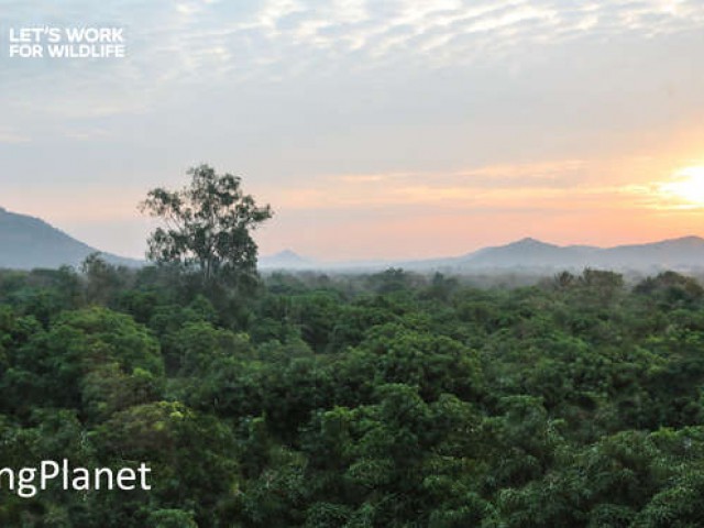 Living Planet Report 2016