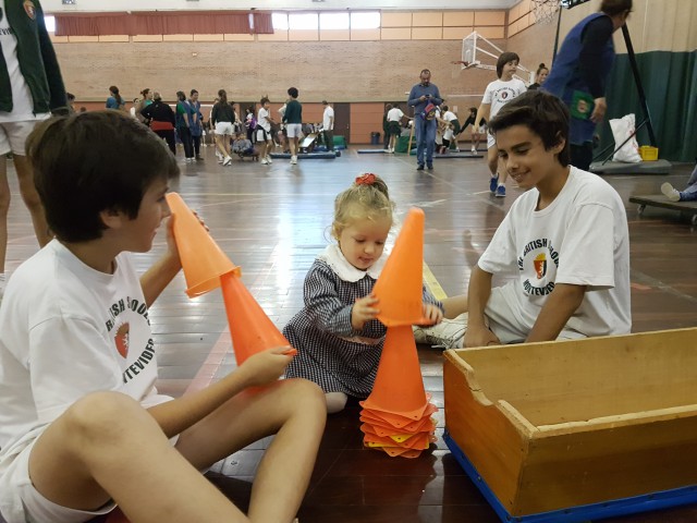 8.Caif