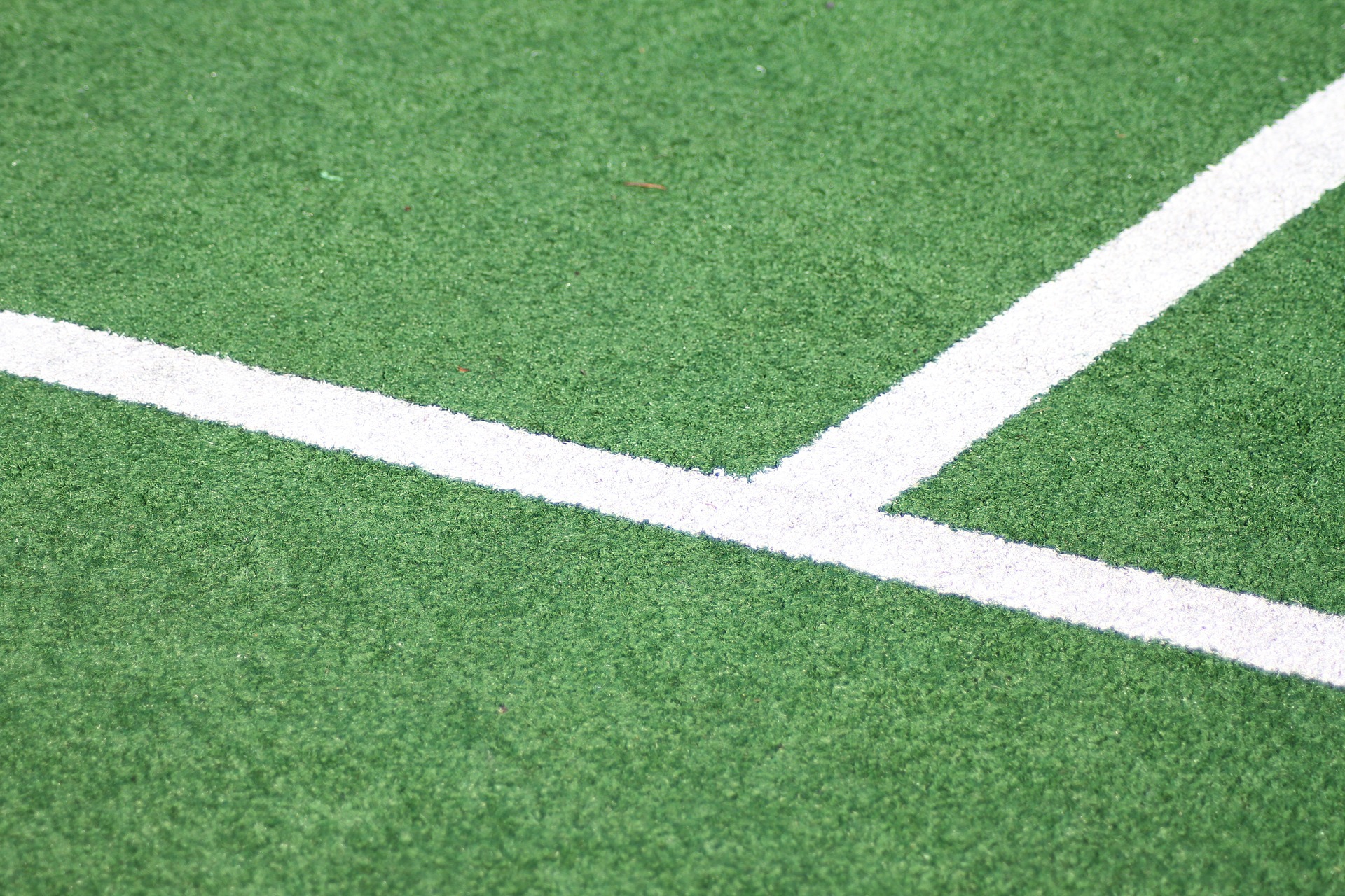 SUMMUM Cup & Champagnat Tournament