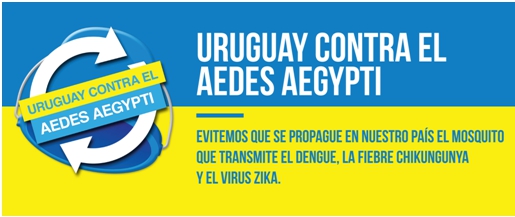 The official response to Dengue fever