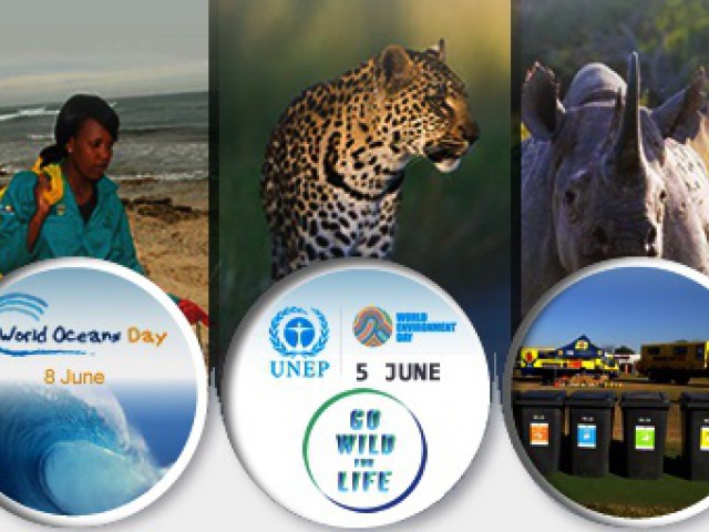 June is Environment Month