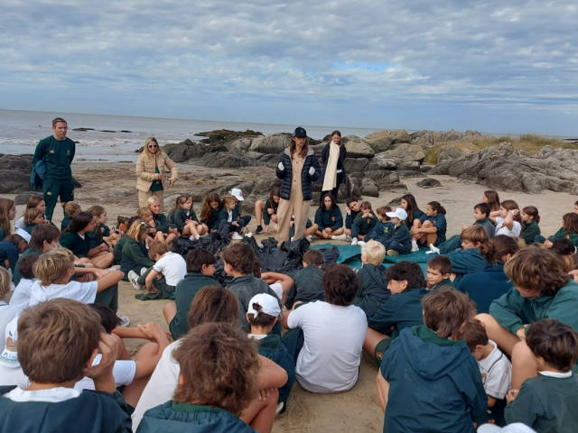 Beach cleanup