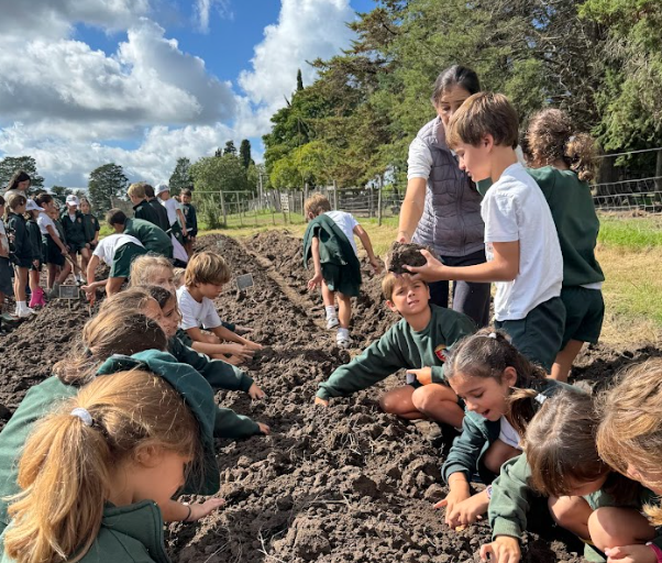 Year 2 - La Dominga farm