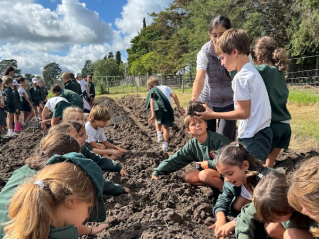 Year 2 - La Dominga farm