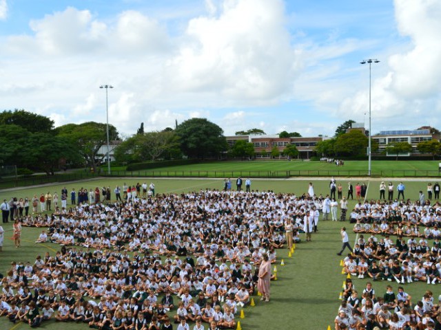 DSC_1190_Small