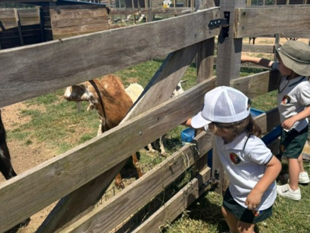 b733070d-50fd-4052-895b-d561758a55fb_Mediana