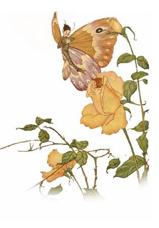Aesop's Fables Interactive Book