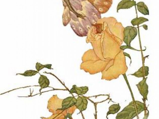 Aesop's Fables Interactive Book