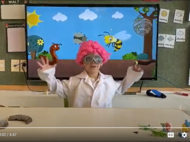 KINDER R - MINIBEASTS MOVIE