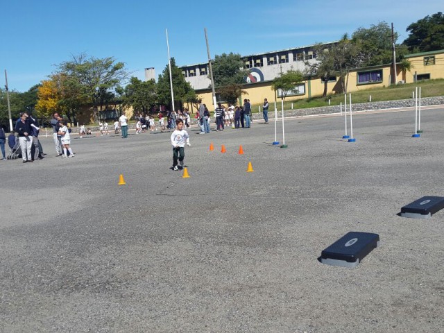 p1beldseqb18gssf3lp7kbh161f