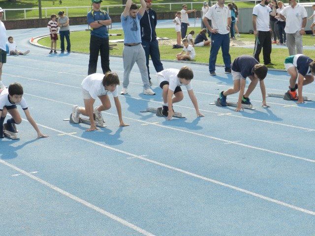 p1bmcvtetc19e01klqss9e6j1t459.JPG