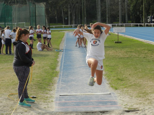 p1bmcvteue17jatmc82b13o61ql4p.JPG