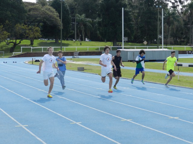 p1bqafpn8b149t1di3172puspnq1c.JPG