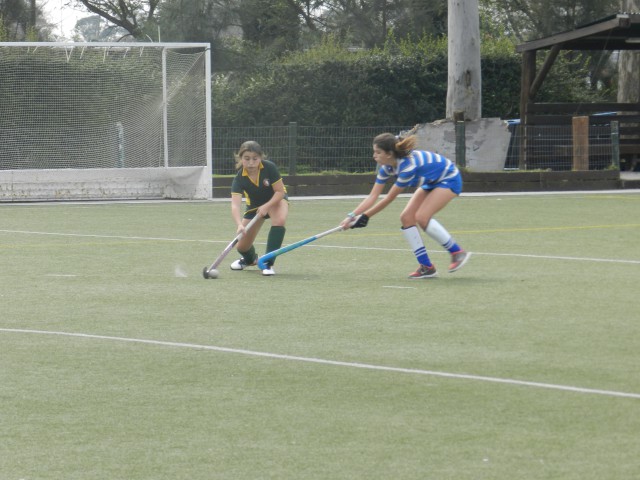 p1bqag3b5q1to01skg1a4138io28u.JPG