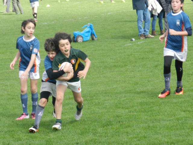 p1bs0qla5asu1dup6dl1ls11r03a.JPG