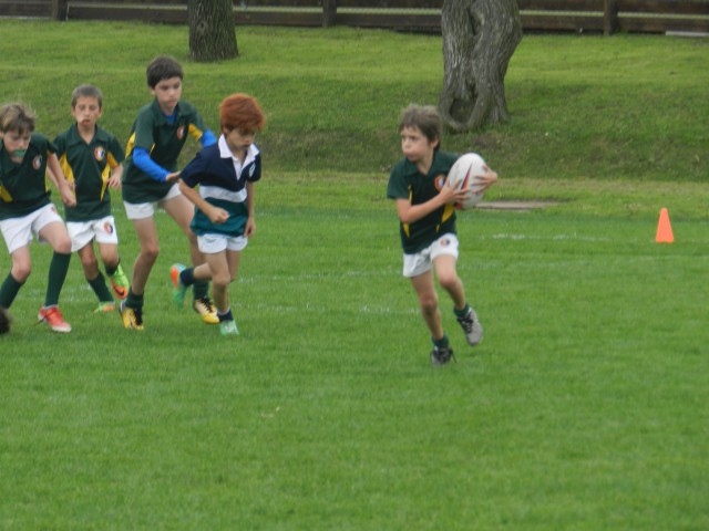 p1bs0qla5h17fg10v51ih91tp7m13e.JPG