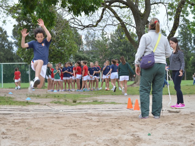 p1bvhraph21ip5ob419cd1gsmga7l.JPG