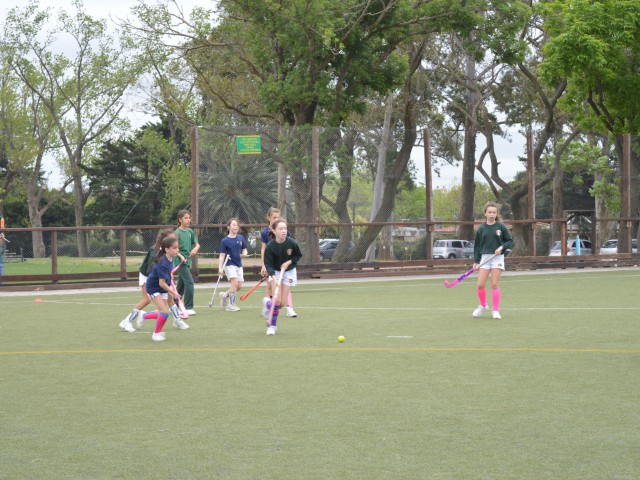 p1bvhraphogd024v37u1m7p1ph8q.JPG