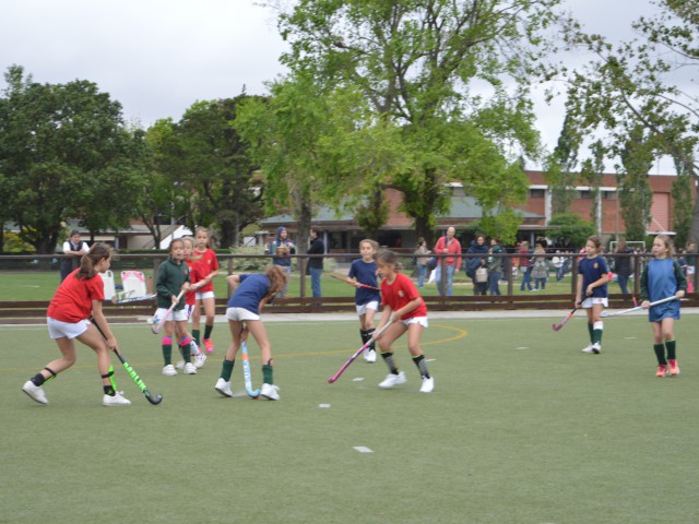 p1bvhrapj61jpvhel12afsv2jo515.JPG
