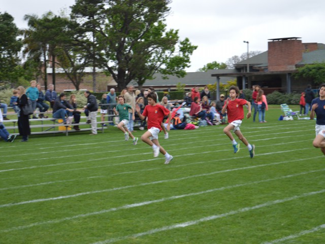 p1bvhrapk01rcn11vq1vvd15nt18ju1b.JPG