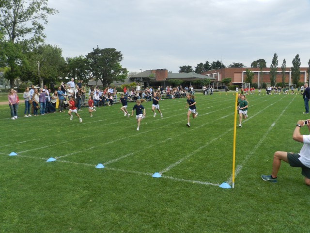 p1bvht9gc21eoiutg1klc16l4jun8.JPG