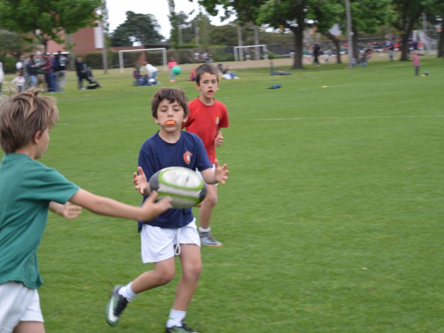 p1bvife8lfaf649rv1glo7lc4o.JPG