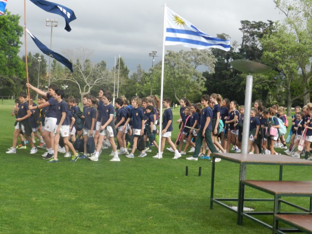 p1bvifpmv5eij33i1ne01h1aia64.JPG