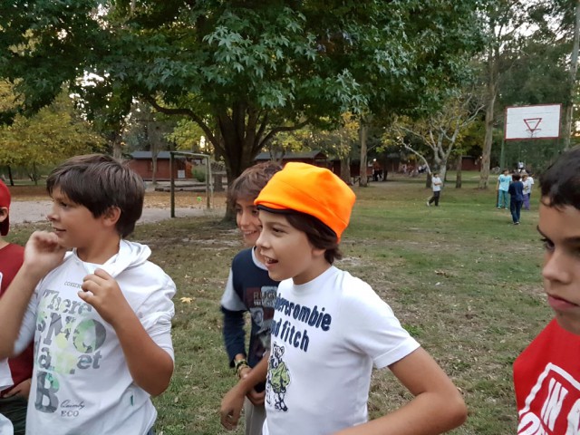 p1cc1kmtpt1cr92jcoqk1i8t1evk3u