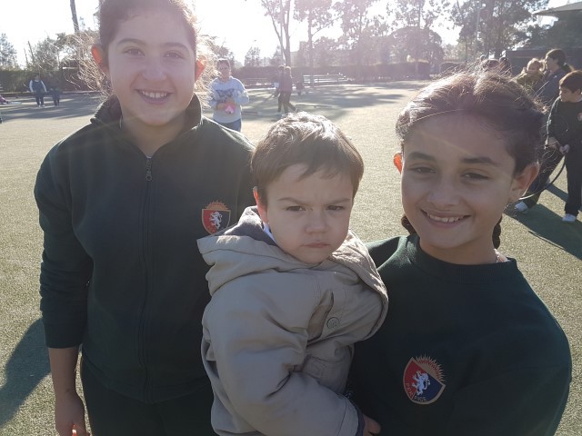 p1cejsqn4aut3rd712fn1se01job1u