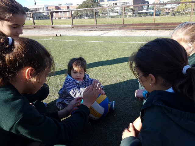 p1cejsqn7osms156k1v9k17kdksg31