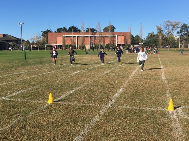 p1dd8mrm66uci11l6asu1qco11smu