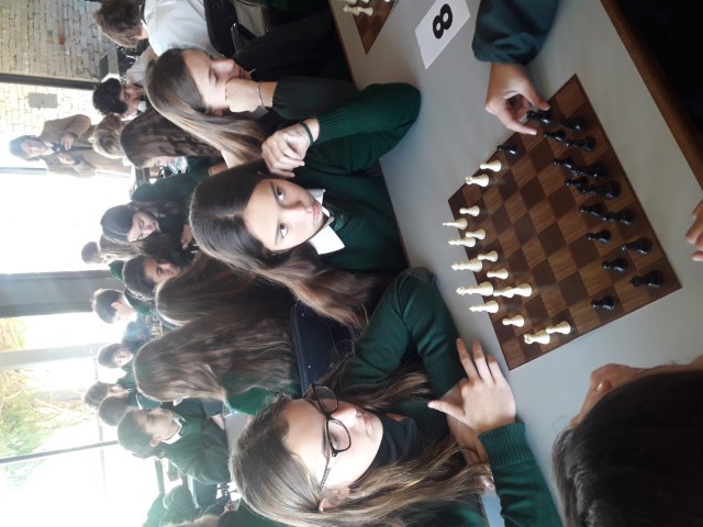 p1decppprn1akdk9e11aoutas1q6
