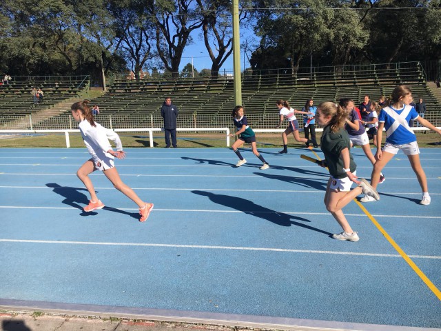 p1dhp15tuiaki38famfaop1gd8k
