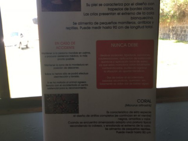 p1dmqqu0ke1ou91podb6k1frb101860.JPG
