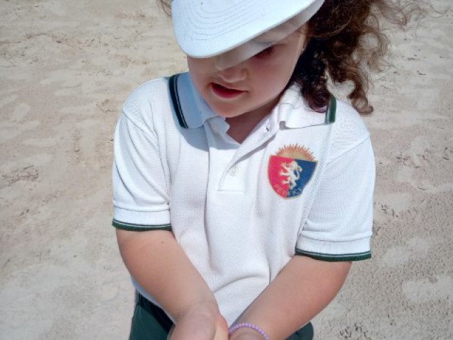 p1dqk7115510mqgs81ifrd05e5l5